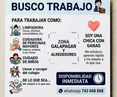 Chica Seria para Limpieza, Plancha y Cuidado - 12€/h - 2