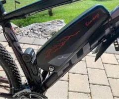 Bicicleta eléctrica - 4